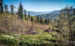 IMG_20180421_141639_HDR