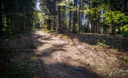 IMG_20180421_164448_HDR