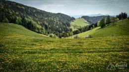 slowenia2018--101