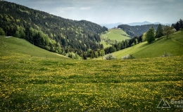 slowenia2018--101