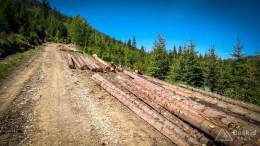 IMG_20180513_104413_HDR