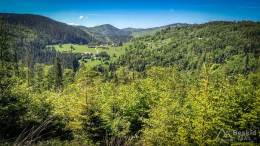 IMG_20180513_111301_HDR