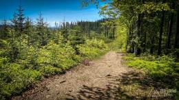 IMG_20180513_113407_HDR