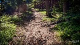 IMG_20180513_113710_HDR