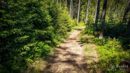 IMG_20180513_113713_HDR