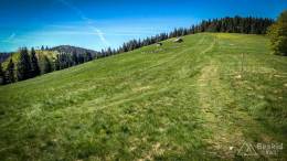 IMG_20180513_114408_HDR