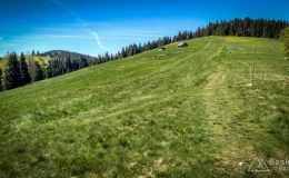 IMG_20180513_114408_HDR