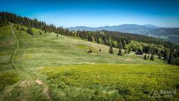 IMG_20180513_115608_HDR