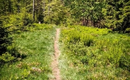 IMG_20180513_121213_HDR
