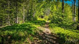 IMG_20180513_122007_HDR