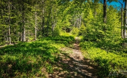 IMG_20180513_122007_HDR