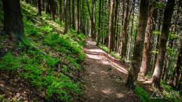 IMG_20180513_122928_HDR