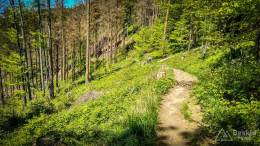 IMG_20180513_125457_HDR