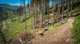 IMG_20180513_125603_HDR