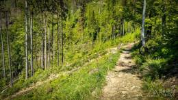 IMG_20180513_125755_HDR