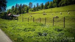 IMG_20180513_130837_HDR