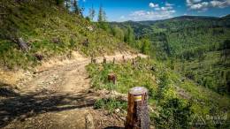 IMG_20180513_133230_HDR