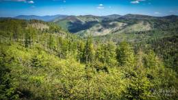 IMG_20180513_134140_HDR