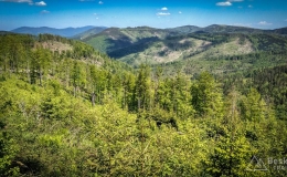 IMG_20180513_134140_HDR