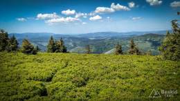 IMG_20180513_141706_HDR