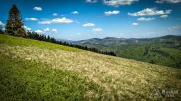 IMG_20180513_142252_HDR