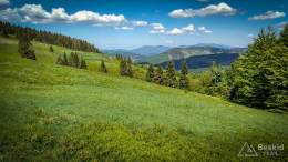 IMG_20180513_142532_HDR