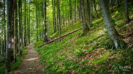 IMG_20180513_144032_HDR