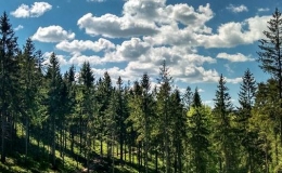 IMG_20180513_145459_HDR