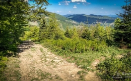 IMG_20180513_151239_HDR