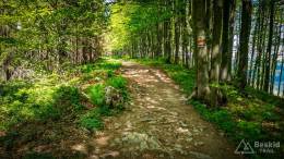 IMG_20180513_151523_HDR