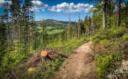 IMG_20180513_152211_HDR