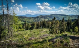 IMG_20180513_161020_HDR