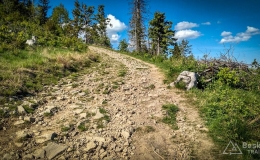 IMG_20180513_161033_HDR