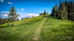 IMG_20180513_161532_HDR