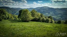 IMG_20180513_164142_HDR