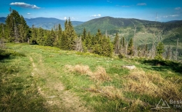 IMG_20180513_164533_HDR