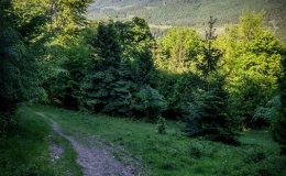 IMG_20180513_165313_HDR