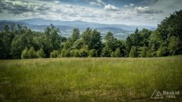 IMG_20180525_110428_HDR