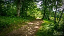 IMG_20180525_110442_HDR