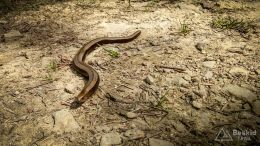 IMG_20180525_112528_HDR