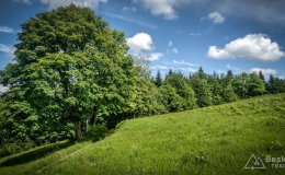 IMG_20180525_113845_HDR