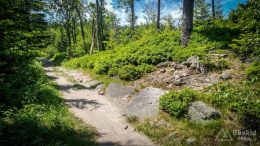IMG_20180525_120556_HDR