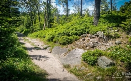IMG_20180525_120556_HDR