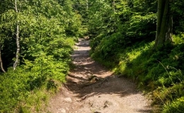 IMG_20180525_120731_HDR