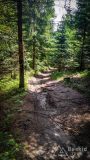 IMG_20180525_120851_HDR