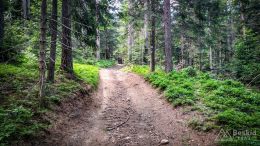 IMG_20180525_122353_HDR