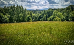 IMG_20180525_124044_HDR