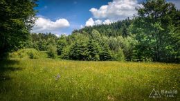 IMG_20180525_124059_HDR
