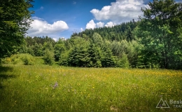 IMG_20180525_124059_HDR