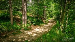 IMG_20180525_124112_HDR